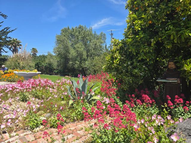 2 MESA DEL SOL,  CA: https://media.crmls.org/mediaz/43eb363e-c792-4bd2-a3c0-4466067e88c1.jpg