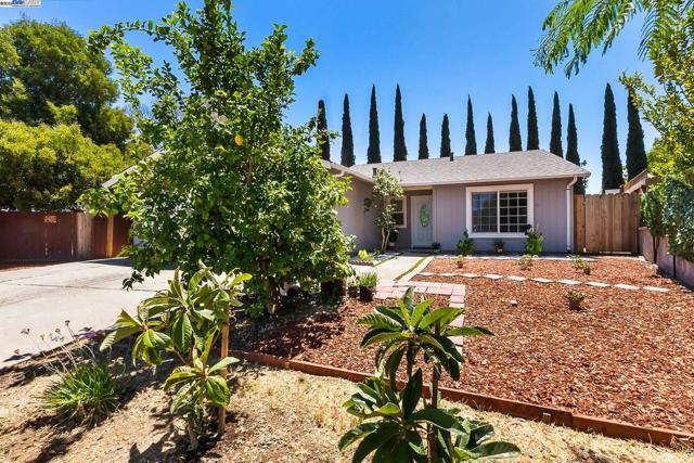 3481 Michael Pl, Bay Point CA: https://media.crmls.org/mediaz/43ee155a-0aac-4cb2-9b7d-63835cdfe70d.jpg
