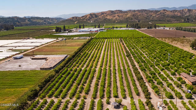 13721 Telegraph Road, Santa Paula CA: https://media.crmls.org/mediaz/43fb4448-23cd-4cb9-ac1d-6544026a5a61.jpg