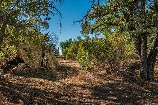 Detail Gallery Image 30 of 57 For 19010 Paradise Mountain Road, Valley Center,  CA 92082 - 3 Beds | 2 Baths