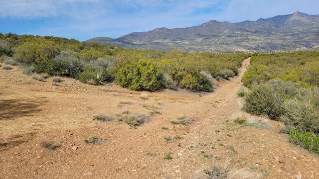 0 Palace Drive, Mountain Center CA: https://media.crmls.org/mediaz/4411a290-f7c1-46c0-b6e8-c3b7e421c119.jpg