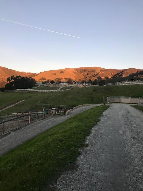 350 San Benancio Road, Salinas CA: https://media.crmls.org/mediaz/44192446-fbb4-493a-8056-9bec22cbbdb2.jpg