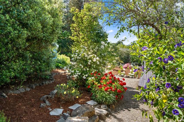 206 Frances Lane, Redwood City CA: https://media.crmls.org/mediaz/442101b4-1b10-403c-a9c0-1f955574b7be.jpg