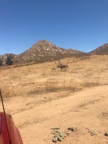 1 Cantarini Road, Moreno Valley CA: https://media.crmls.org/mediaz/442eb8c9-d5f2-4b45-b4c4-f472a15701e2.jpg