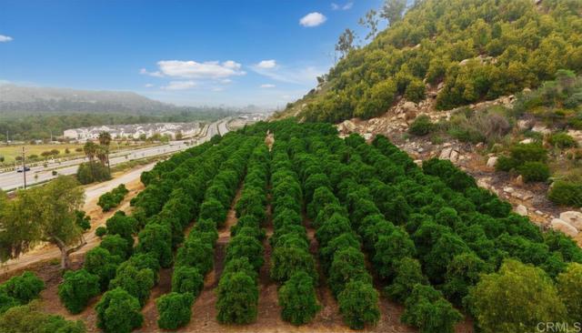 355 CITRINE TRAIL, Fallbrook CA: https://media.crmls.org/mediaz/443b4f67-7d9f-4d64-bcd0-d359bae00323.jpg