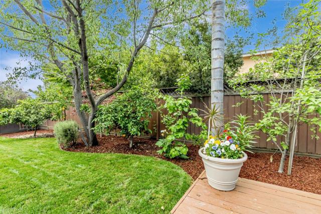 529 Park Meadow Court, San Jose CA: https://media.crmls.org/mediaz/44412100-c4cb-4d26-86eb-b0a532c24429.jpg