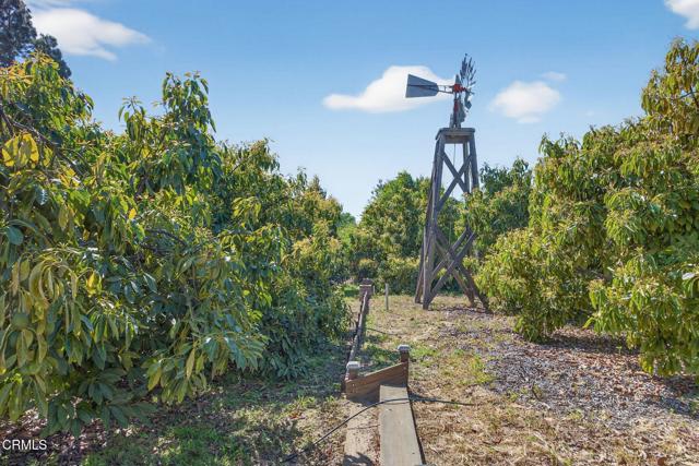 Detail Gallery Image 54 of 70 For 131 San Miguel Dr, Camarillo,  CA 93010 - 4 Beds | 2/1 Baths