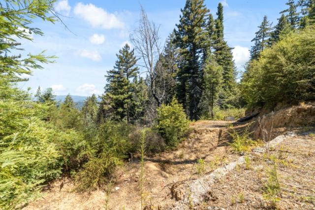 2472 Fanning Grade, Ben Lomond CA: https://media.crmls.org/mediaz/44496448-94bf-400b-91a1-23f7c4141a58.jpg