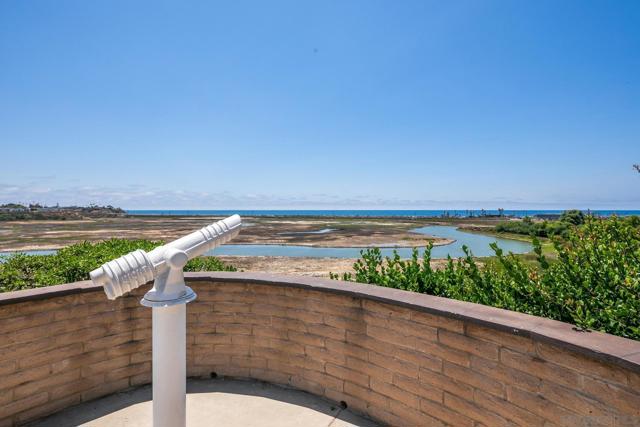 Image 31 of 47 For 2464 Caminito Ocean Cove
