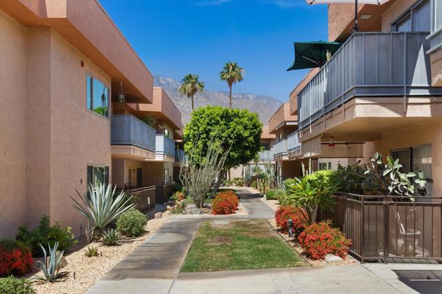 400 N Sunrise Way, Palm Springs CA: https://media.crmls.org/mediaz/444e3fe5-f88d-44be-a234-2b899cbe6d00.jpg