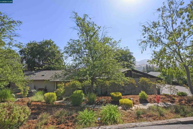 68 Terrace Rd, Walnut Creek CA: https://media.crmls.org/mediaz/44510552-d583-4891-8e33-866b3897a6dc.jpg