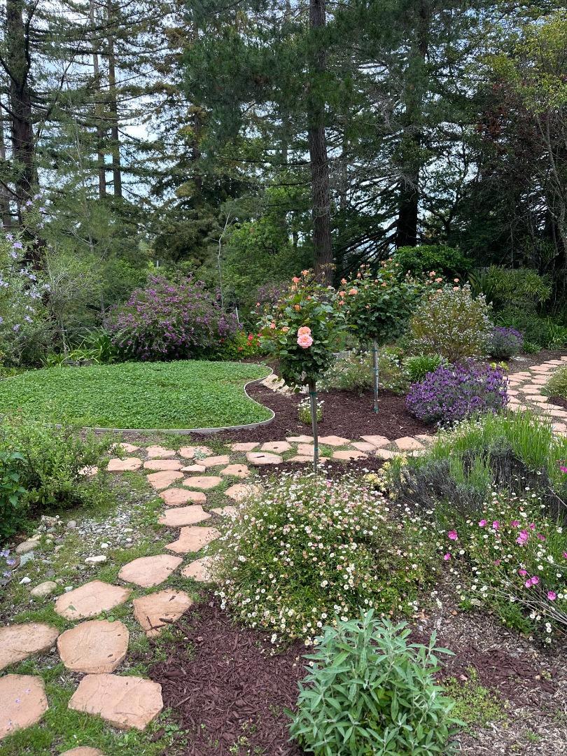 MLS #ML82024333 image #34