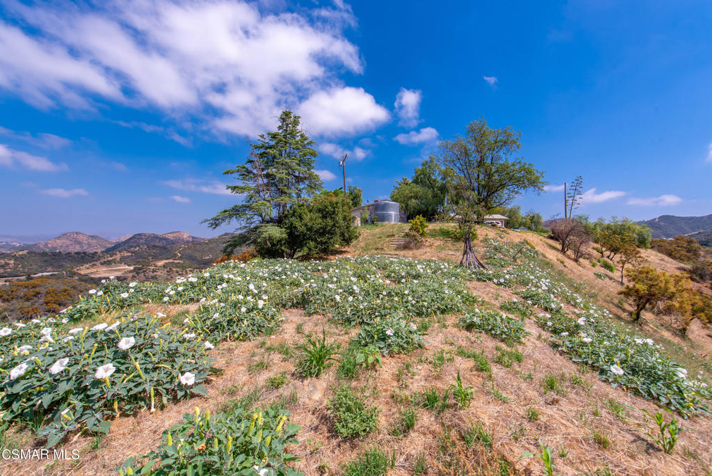 https://media.crmls.org/mediaz/445363a0-d67c-434e-87fa-d75a93cb3923.jpg?preset=X-Large