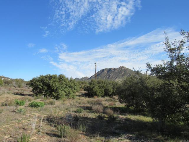 Detail Gallery Image 8 of 12 For 4 .38 Acres Buckman Springs Rd, Campo,  CA 91906 - – Beds | – Baths