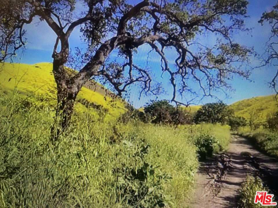https://media.crmls.org/mediaz/4458ac48-816a-40a9-a051-fb683296e123.jpg?preset=X-Large