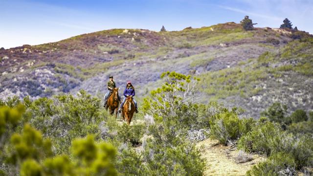 Detail Gallery Image 19 of 39 For 36719 Equiestrian, Anza,  CA 92539 - 3 Beds | 2 Baths