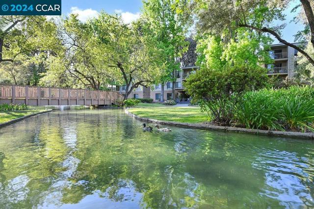 490 N Civic Drive, Walnut Creek CA: https://media.crmls.org/mediaz/4472e033-800a-46dd-8f60-f35feb3195c2.jpg