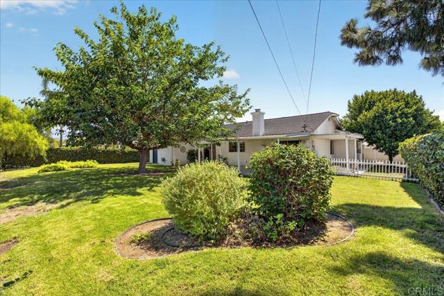183 Sandberg Street photo 27