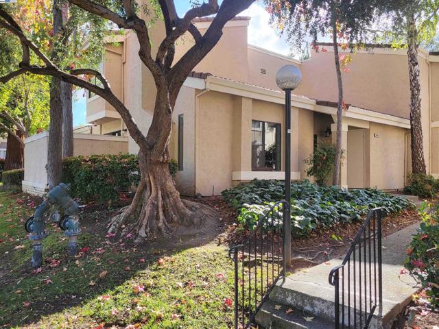665 Palomino Dr, Pleasanton CA: https://media.crmls.org/mediaz/447bab03-23d3-4586-9549-ca23ea251480.jpg