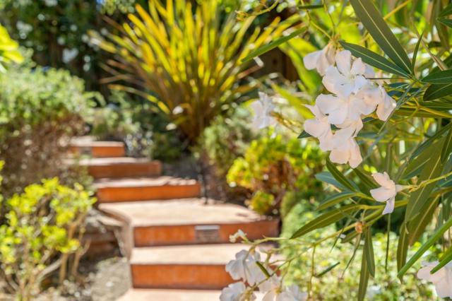 256 Marchmont Court, Los Gatos CA: https://media.crmls.org/mediaz/447bcc65-1aa0-4d2c-9c1f-109b7f4e8dc2.jpg
