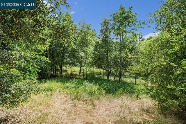 3159 Lucas Dr, Lafayette CA: https://media.crmls.org/mediaz/447d2103-7a28-4cc7-91c6-ba66645f72f1.jpg