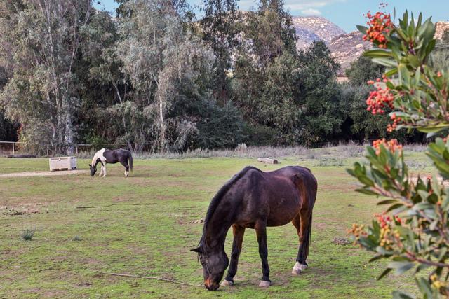 26086 Bear Valley Heights Road, Escondido CA: https://media.crmls.org/mediaz/4488b70b-08fb-430a-8348-f8f916c35dbd.jpg