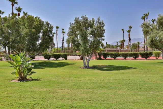1181 Sunflower Lane, Palm Springs CA: https://media.crmls.org/mediaz/4490b302-4dae-420f-88f9-365e0ef78dad.jpg