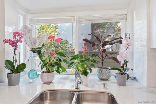 3626 Lorimer Ln, Encinitas CA: https://media.crmls.org/mediaz/4495d2b9-11e4-4369-9f12-f2e293328954.jpg