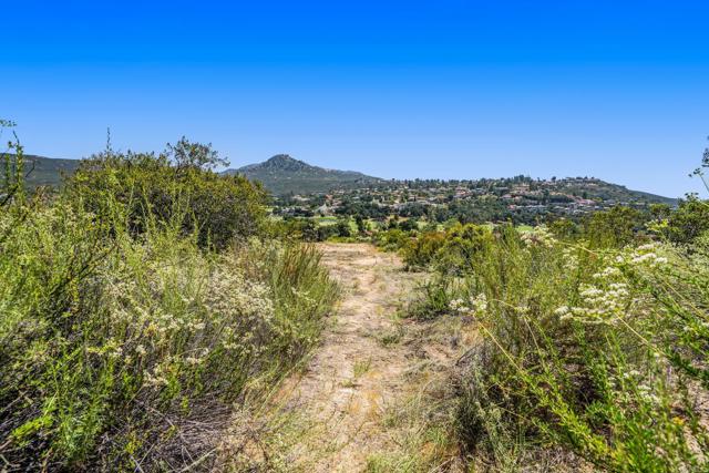 16110 Camino Arriba, Ramona, California 92065, ,Residential Land,For Sale,Camino Arriba,PTP2403291