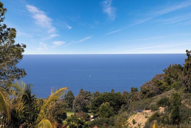 6937 Paseo Laredo, La Jolla CA: https://media.crmls.org/mediaz/44a3133e-7e8d-4569-a3c4-cb8201f33d3b.jpg