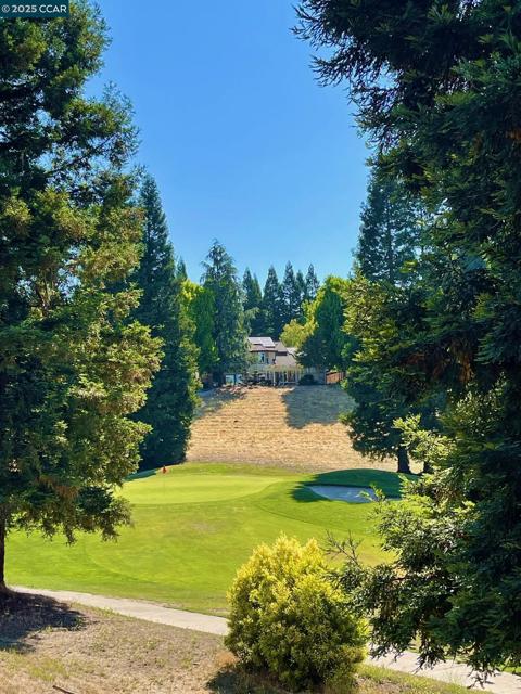 1020 Canyon Hills Road, San Ramon CA: https://media.crmls.org/mediaz/44afaa89-f553-4ceb-b6fc-2e9c6934367c.jpg