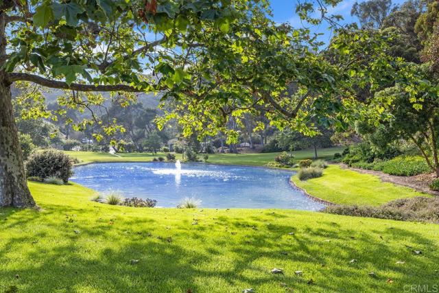 6544 Caminito Northland, La Jolla CA: https://media.crmls.org/mediaz/44bc9356-de98-4955-8356-8ebe96e0b743.jpg
