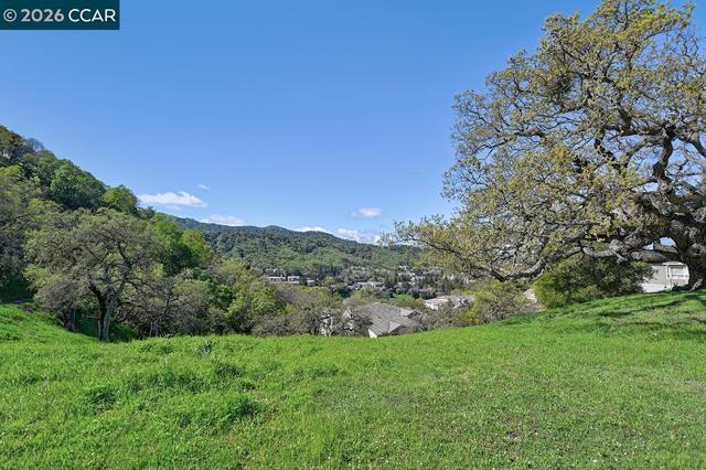 Image 44 of 59 For 539 High Eagle Ct