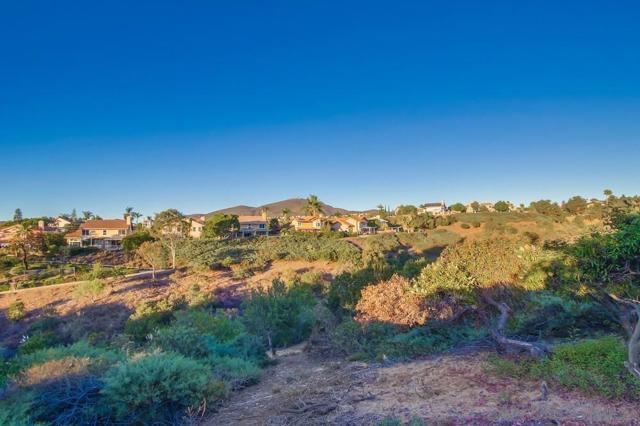 13559 Chaco Ct, San Diego CA: https://media.crmls.org/mediaz/44bebd26-8b96-4f0a-95fc-a6a1c65411a3.jpg