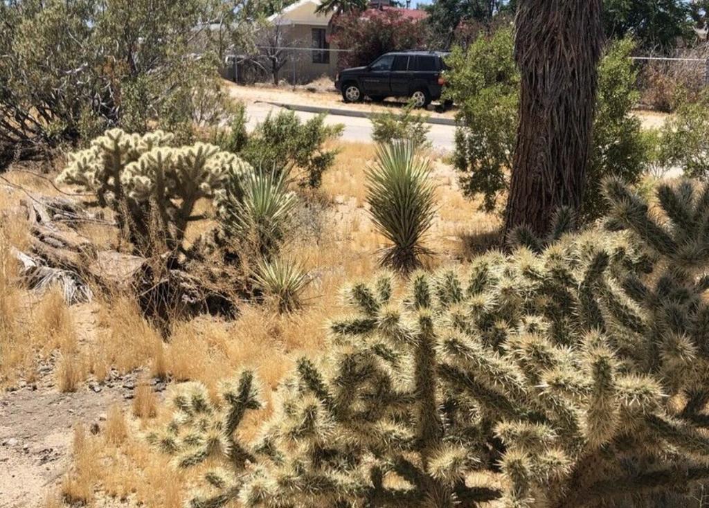 MLS #219139119PS image #10