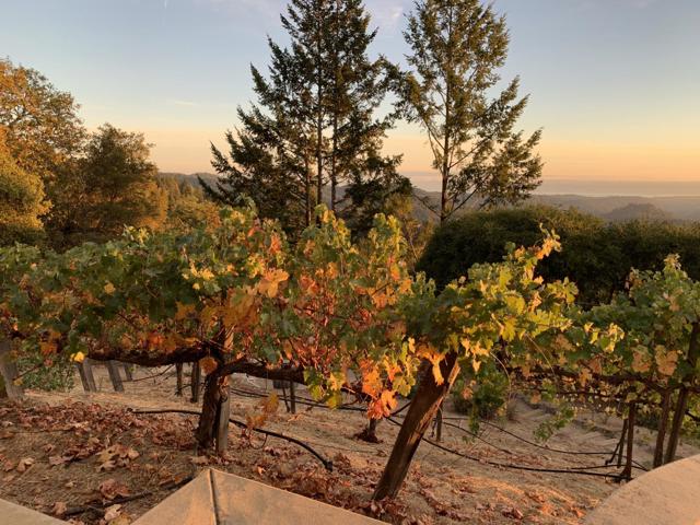25220 Quail Ridge Road, Los Gatos CA: https://media.crmls.org/mediaz/44dadec2-4a33-46c8-ba67-b9f7341e8a12.jpg