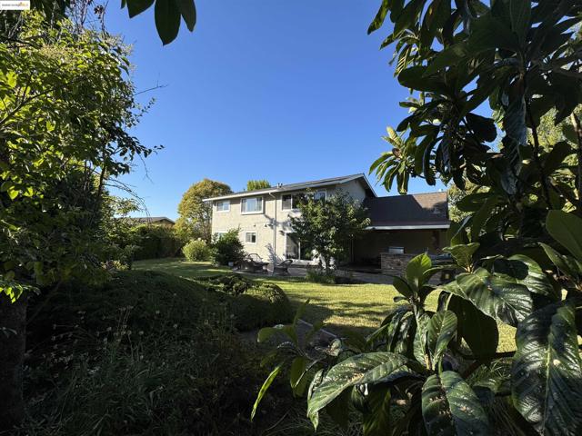 8 Juniper Way, Moraga CA: https://media.crmls.org/mediaz/44dcec09-2e6b-44a1-9bcc-d495a833cdfa.jpg