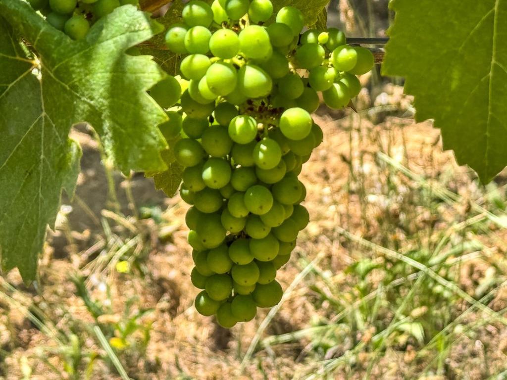 MLS #ML82023193 image #20