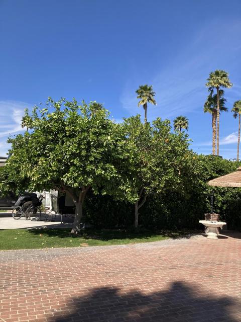 69411 Ramon Road, Cathedral City CA: https://media.crmls.org/mediaz/44e154a6-882d-4128-b4b5-9857c3da44ac.jpg