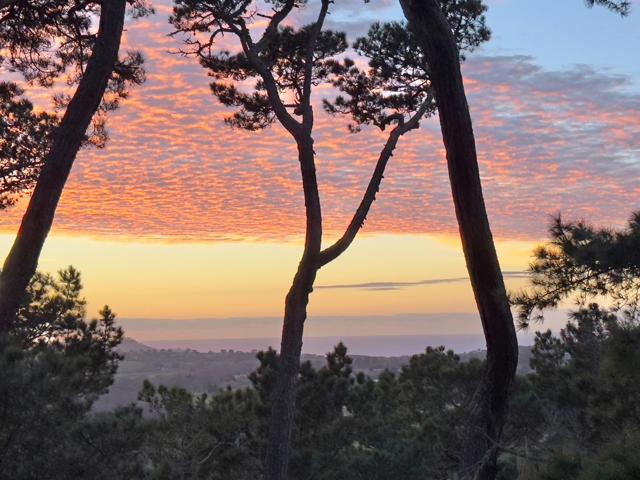 31 Del Mesa Carmel, Carmel CA: https://media.crmls.org/mediaz/44e1f941-87b9-4c46-97c4-dcf259748ad7.jpg