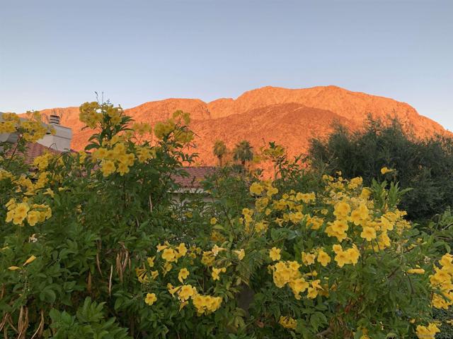 181 Montezuma Dr, Borrego Springs CA: https://media.crmls.org/mediaz/44e6e157-422e-418e-b822-0d6dff67470f.jpg