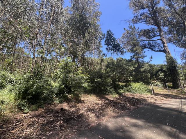 17160 Wilson Way, Royal Oaks CA: https://media.crmls.org/mediaz/44eba5ad-008f-4db6-a7c4-03b40eadce02.jpg