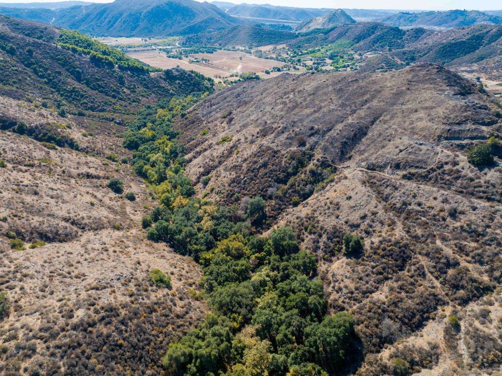 MLS #250022588SD img 10