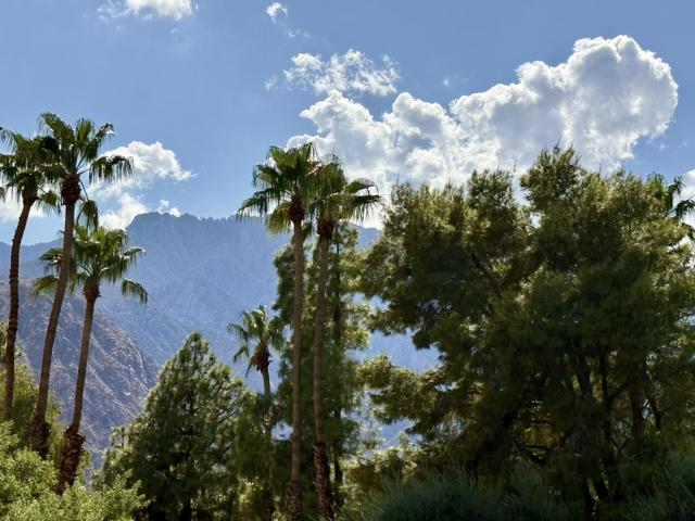 2875 N Los Felices Road, Palm Springs CA: https://media.crmls.org/mediaz/44f66309-2e97-4066-9ae3-babec4eb9247.jpg