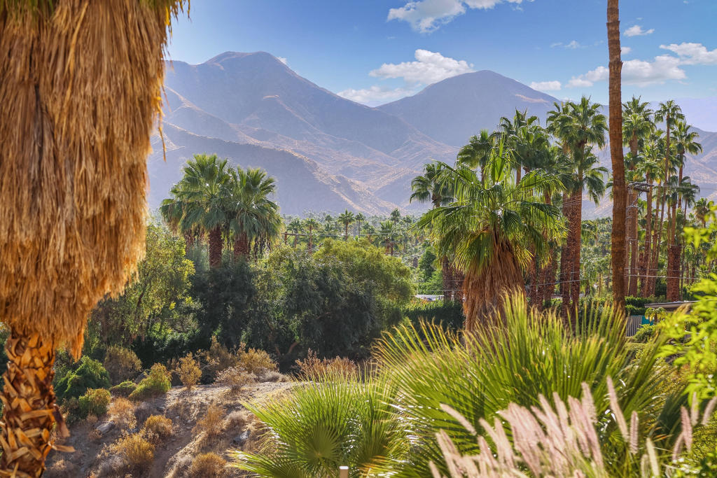 MLS #219131556PS image #13