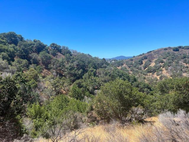 0 Alhambra Drive, Belmont CA: https://media.crmls.org/mediaz/44fa36cd-1be9-46fd-b74a-a31831ec4406.jpg