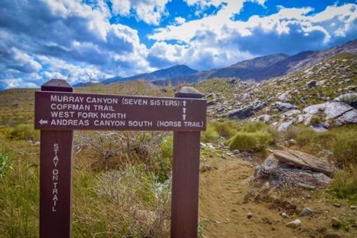 MLS #219141476PS image #55