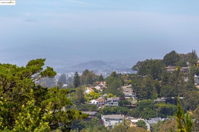 20 Ascot Ct, Oakland CA: https://media.crmls.org/mediaz/45150985-d354-4ac4-bbe2-370877b00848.jpg