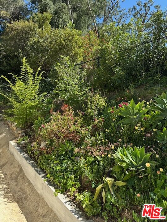 9781 Blantyre Drive, Beverly Hills CA: https://media.crmls.org/mediaz/45284a51-36ab-4e4c-b5d0-68bf6de64cbf.jpg