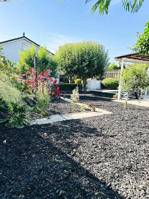 6916 Graham Avenue, Newark CA: https://media.crmls.org/mediaz/452851b4-041a-43da-9fca-596d6642defc.jpg